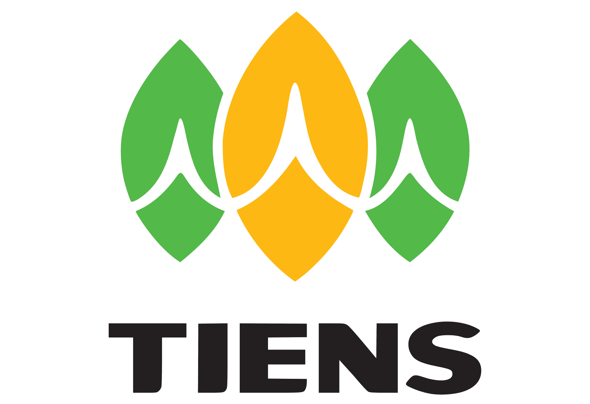 Tiens